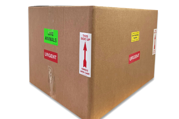 Reptile Express International | Shipping System